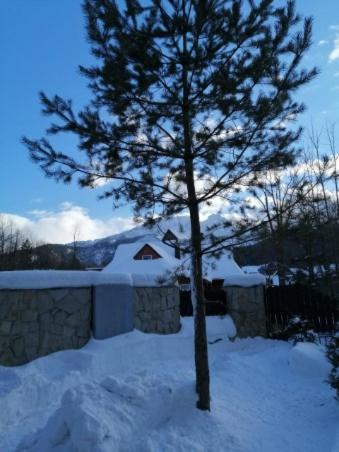 Domek Zakopianska Chata Zakopane Esterno foto